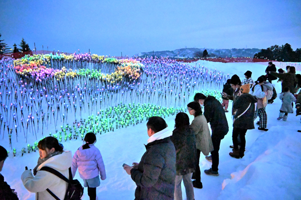 イルミネーションを見る来場者の画像
