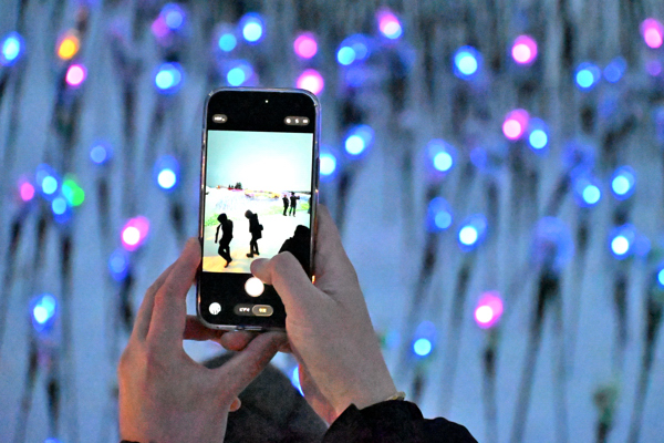 スマートフォンでオヂヤホタルを撮影している人の手元の画像