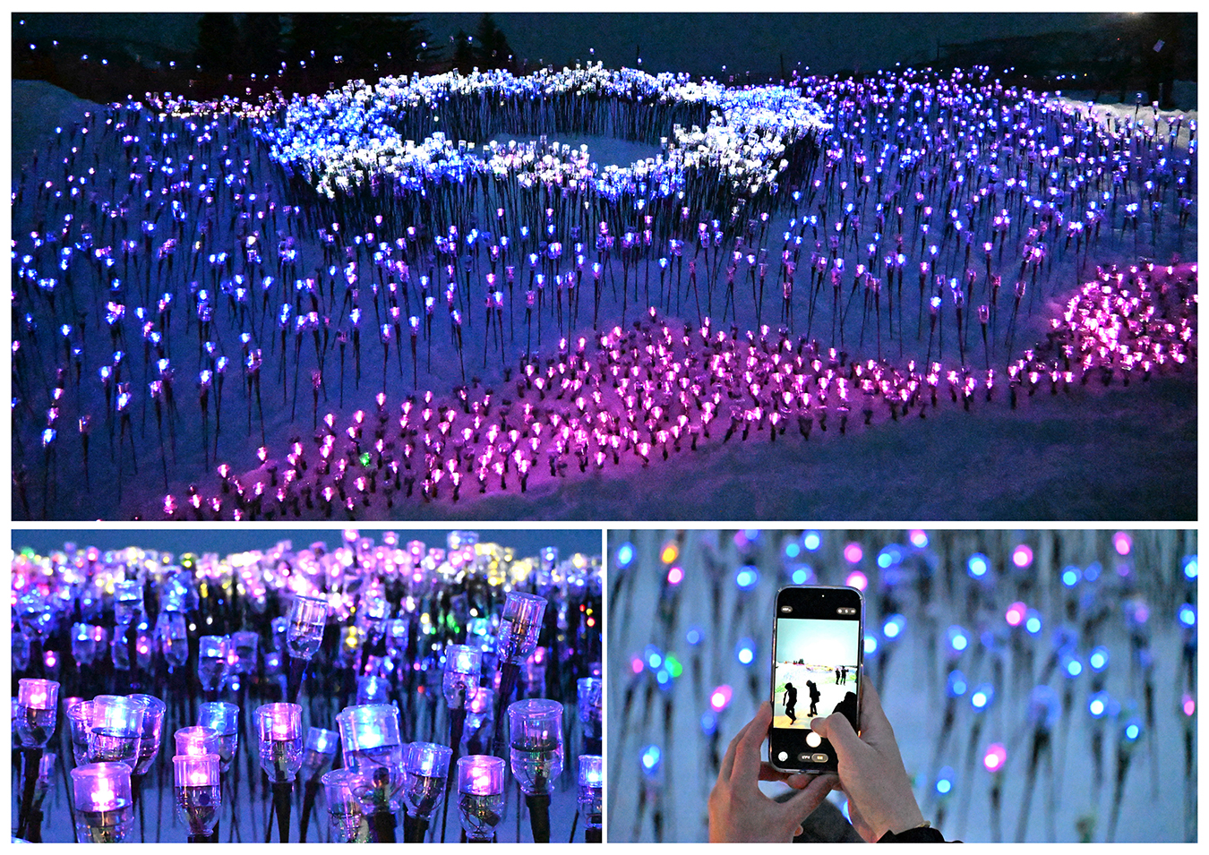 オヂヤホタル　ホントカ。屋上会場の画像