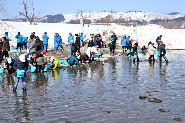 信濃川で稚魚を放流する児童たちの画像