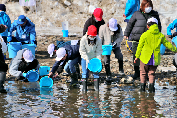 稚魚の放流を楽しむ児童たちの画像