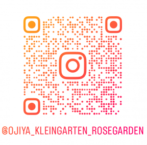 おぢやクラインガルテンふれあいの里バラ園のインスタグラム