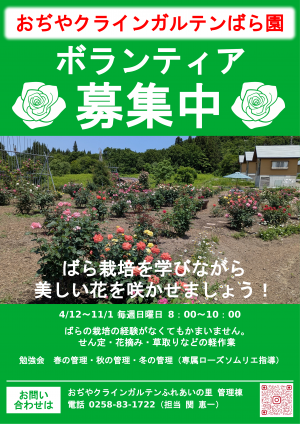 おぢやクラインガルテンふれあいの里バラ園ボランティア募集