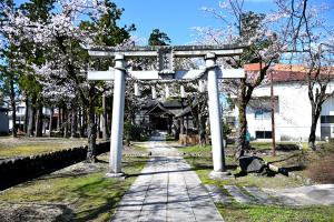 伊米神社　鳥居と桜