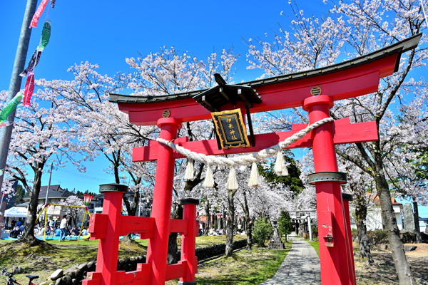伊米神社の桜