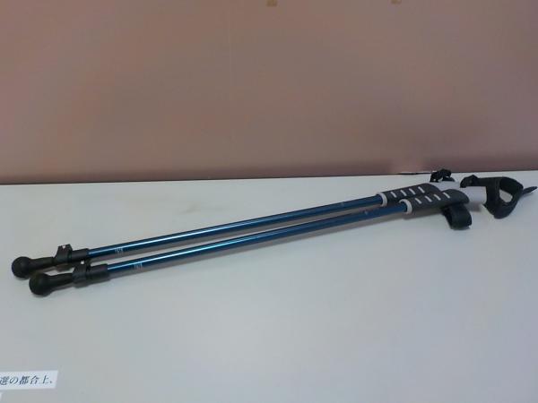 トレッキングポール