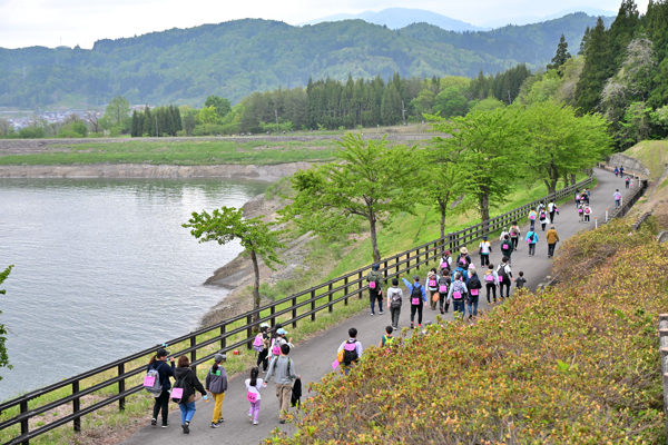 調整池沿いの道を歩く参加者たちの画像