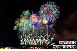 令和7年度おぢやまつり市民総参加花火の写真
