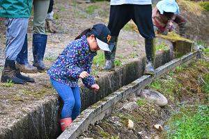用水路に足をつけて遊ぶ女の子の画像