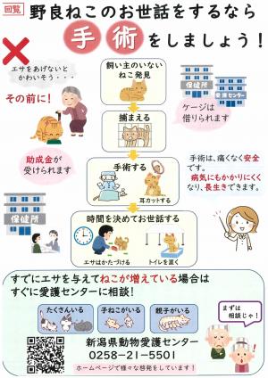 野良ねこのお世話をするなら手術をしましょう!