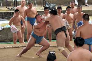 錣山部屋の力士と海洋高校生の稽古の画像