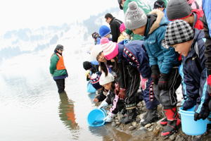 放流した稚魚を見つめる児童の画像