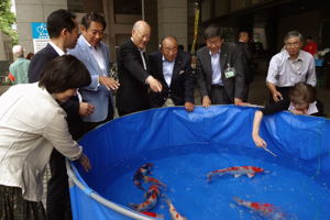 贈呈した錦鯉を鑑賞する田中良杉並区長と谷井小千谷市長の画像