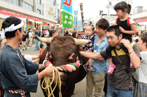 間近で闘牛と触れ合う来場者の画像