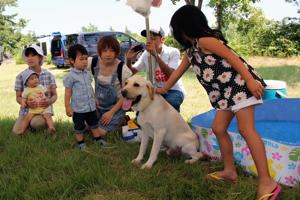 犬とふれあう子どもの画像