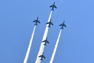 錦鯉ローパスの画像