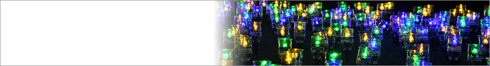 令和7年度　オヂヤホタル　～OJIYA HOTARU illumination～のタイトル画像
